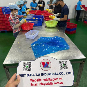 PIÑA CONGELADA EN DADOS 2026, LIMPIA, SEGURA, ESTÁNDAR DE EXPORTACIÓN - Product Image 1