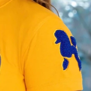 เสื้อยืดแขนสั้นปักลาย SGRHO Poodle Chenille สำหรับผู้หญิง ชมรมพี่น้องกรีก Sigma Gamma Rho แบบลำลอง ขายส่ง - Product Image 5