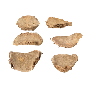 ขมิ้นดำพรีเมียมแบบแห้งสำหรับตลาดส่งออกและการจัดหาวัตถุดิบจำนวนมากสำหรับการใช้งานทางอาหารและการกระจายวัตถุดิบ - Product Image 2