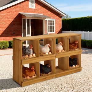 Nidi per Galline Tipo H in Legno, Cassetta per Deposizione Uova con 8 Scomparti per Allevamenti di Galline e Anatre, Giallo - Product Image 3