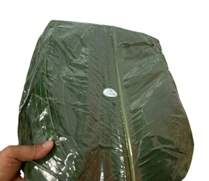 ใบตองสดและแช่แข็งเกรดพรีเมียมสำหรับส่งออก - Product Image 4