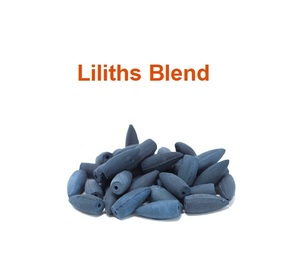 Natural Liliths Blend Bullet Backflow <b>Incense</b> <b>Cones</b> Wholesale Supply at Leading Price ( Blue) - Product Image 1