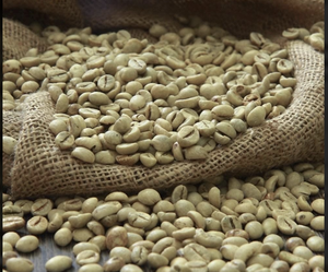 [BEST CHOICE 2025] เมล็ดกาแฟโรบัสต้าออร์แกนิก ซอนลา เวียดนาม 100% ธรรมชาติ คุณภาพสูง เกรดส่งออก สีเขียว 60 กก. ขายส่ง ราคาถูก - Product Image 3
