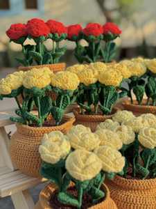Fleurs faites à la main au crochet, plantes en pot, fleurs artificielles pour toujours, cadeau à un ami, parfait pour la décoration intérieure, fabriqué OEM au Vietnam - Product Image 5