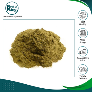 Poudre de feuilles de corossol/graviola pure et naturelle du Brésil, extrait séché, forte demande, exportateur en gros - Product Image 2