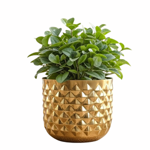 Modern <b>Brass</b> Flower <b>Pot</b> Set Indoor Desktop Planter Minimalist Style Circular Design Gold Finish <b>Plant</b> Container - Product Image 6