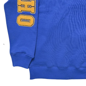 Sweat-shirt d'hiver Sigma Gamma Rho en chenille avec motif au dos, 100 % coton, bleu, pour femme, avec lettres grecques brodées, col rond, haut de gamme - Product Image 6
