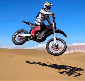 Motocicletas Eléctricas Arctic Leopard Cheetah EXE 880, Precio Directo de Fábrica 2025, Bajo Precio, Legales para Circular en la Calle - Product Image 2