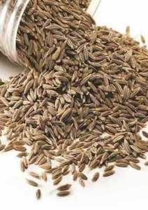 Graines de cumin séchées naturelles 100% en vrac disponibles pour l'exportation - Product Image 6
