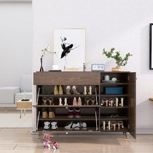 Meuble à chaussures en bois de Sheesham avec porte, étagère de rangement en bois, organisateur de chaussures, armoire anti-poussière pour entrée, meuble de rangement pour salon - Product Image 5