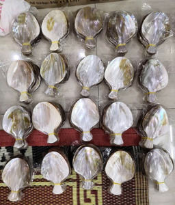 Cucharas Elegantes de Nácar Vietnamita, Ecológicas, para Cenas Elegantes, Fiestas, Juegos de Regalo de Lujo, Venta al por Mayor, Precios Competitivos - Product Image 5