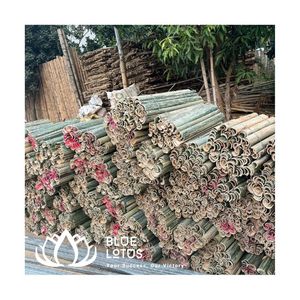 Los Más Vendidos: Estacas de Bambú Sostenibles para Soporte de Plantas, Duraderas, Venta al Por Mayor - Product Image 1
