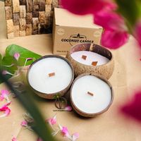 Bougie parfumée artisanale en coquille de noix de coco écologique pour la décoration de la maison, vente en gros pour Noël