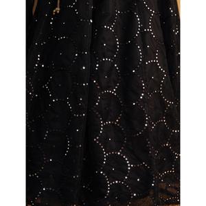 Lehenga choli ผ้าออแกนปักสีดำสุดเหลือเชื่อกับ dupatta - Product Image 1