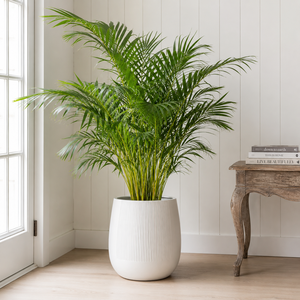 Pot de jardin décoratif moderne en fibre de verre, blanc, rond, côtelé, de haute qualité et luxueux, pour intérieur et extérieur, 3 tailles - Product Image 3