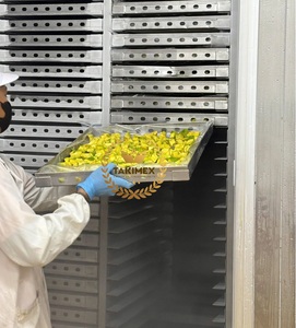 Puré de Aguacate Congelado IQF en Caja a Granel para Procesamiento de Alimentos - Product Image 4