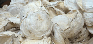 Venta caliente Copa Lump Caucho natural Origen de Vietnam Proveedor confiable para la producción de neumáticos - Product Image 3