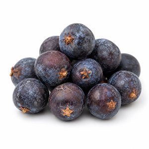 Bayas de Junípero Secas Naturales al por Mayor, Orgánicas, Nueva Temporada, Calidad Premium de Exportación, Suministro de Marca Privada, Servicio OEM - Product Image 1