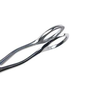 Pinzas para Lengua de Acero Inoxidable, Depresor, Instrumentos Quirúrgicos Abiertos para Uso Veterinario en Gatos, Perros, Caballos, Fácil de Usar, de Dentavex - Product Image 3