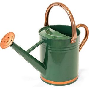 Arrosoir en métal de grande taille avec poignée robuste, adapté pour arroser les plantes de jardin, les fleurs, les légumes, bec long, robuste et résistant. - Product Image 2