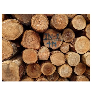 Excellente résistance à l'eau, luxe unique, bois de construction japonais de première qualité, prix des bûches de bois personnalisées - Product Image 1