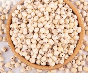 ราคาโรงงานที่ดีที่สุดมาตรฐานสำหรับเครื่องดื่มชาหลังจากผสมกับน้ำเมล็ดบัวอบแห้งที่มีสารอาหารสูงมาก - Product Image 1