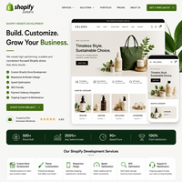 Shopify 网站开发