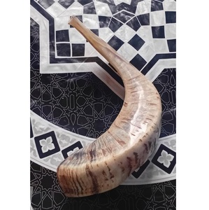 Shofar authentique en corne de bélier casher, instrument musical artisanal, outil à vent traditionnel, artefact religieux juif, vente en gros - Product Image 5