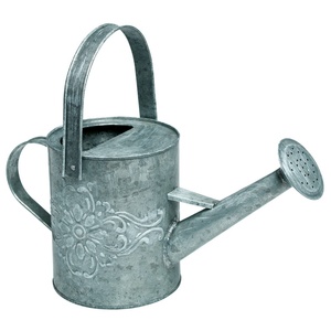 Classic Iron Antique <b>Watering</b> <b>Can</b> Engraved Eco-Friendly Durable Metal Garden <b>Vintage</b> Indoor Outdoor Home Decor Planter 1.5L - Product Image 5