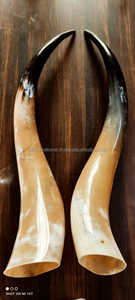 ที่มีคุณภาพที่ดีที่สุดลูกแพร์ฮอร์นไวกิ้งบ้านและโรงแรมพรรคและของขวัญแต่งงานธรรมชาติฮอร์นตกแต่งบ้านคู่ฮอร์นขัด - Product Image 6