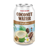 Private Label 100% Natuurlijke Kokoswater 330ml Fruitige Smaken OEM ODM Kokosdrank Plantaardige Sap Export Kwaliteit Gratis Monster