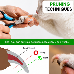 Coupe-ongles professionnel pour animaux de compagnie, ciseaux en acier inoxydable pour chiens et chats, fournisseur en gros - Product Image 3
