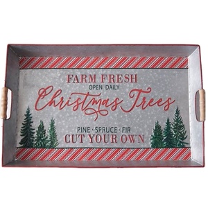 Juego de 2 bandejas galvanizadas más vendidas, bandejas navideñas de almacenamiento personalizadas de tendencia 2024, bandeja reutilizable para servir champán de hoja de hierro - Product Image 3