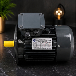 Moteur Unicorn 1 kW monophasé à induction, cadre 130 mm, montage sur pied, 208-240 V, 1500 tr/min, IE2, moteur entièrement fermé pour pompes - Product Image 2
