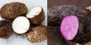 Taro Fresco de Alta Calidad – Ñame Morado Dulce, Saludable, Fresco y Natural para Cocinar y Hornear // Mr.Tom - Product Image 6