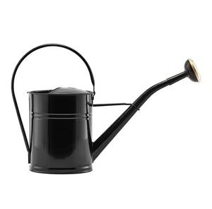 Regadera Moderna de Metal, Regadera de Acero Inoxidable para Plantas - Product Image 2