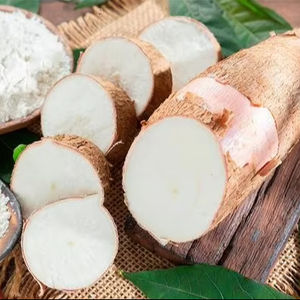 Poudre de farine de tapioca modifiée de qualité supérieure, amidon de manioc soluble pour les industries adhésives, blanc naturel, durée de conservation de 24 mois - Product Image 3