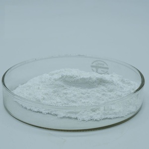Lactobacillus Johnsonii Probiotique de Qualité Industrielle pour l'Exportation, 10-200 milliards d'UFC/g, pour Applications Nutritionnelles et Alimentaires (pour Sal) - Product Image 2