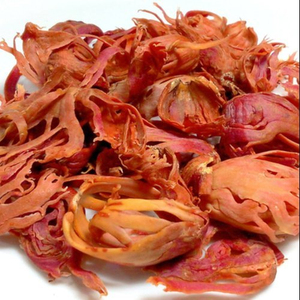 Javitri AD de Alta Calidad al por Mayor, Mace Seca con 24 Meses de Vida Útil, Sabor a Alimento Seco Rojo, Procesamiento Crudo, Mejor Precio, Brasil - Product Image 5