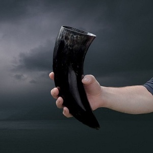 Cuerno de Búfalo y Punta de Cuerno de Buey de Buena Calidad, Personalizados para Venta al por Mayor, Cuerno Natural de Buey y Búfalo de Calidad - Product Image 6