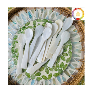 Cuchara de Nácar |   Concha Natural |   Uso de Regalos de Lujo |   Marca OEM |   Exportación a granel - Product Image 6