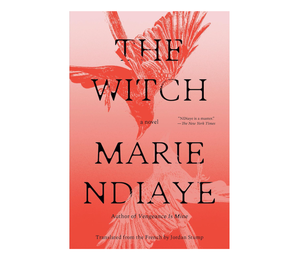 La Bruja: Una Novela de Marie NDiaye, Edición en Rústica (Suministro al por Mayor) - Product Image 1
