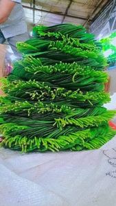 Hojas de Betel Frescas de Alta Calidad para Exportación, Utilizadas para el Suministro Internacional de Productos Frescos al Mejor Precio - Product Image 2