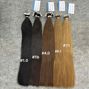 Extensiones de Cabello Virgen Vietnamita Natural Liso de la Mejor Calidad, Cabello Liso y Brillante en Varios Tonos de Color - Product Image 1