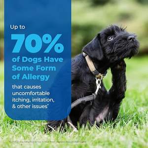 Golosinas Masticables Suaves Naturales y Orgánicas para Perros y Gatos, con Zinc, Cúrcuma y Hongos, Refuerzo del Sistema Inmunológico, Alivio de Alergias, Salud de la Piel y el Pelaje, Absorción Rápida - Product Image 3