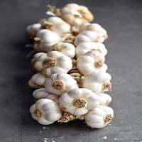 Ail frais biologique 6,0 cm, blanc pur, qualité supérieure, nouvelle récolte, Chine, emballage de 10 kg, durée de conservation de 24 mois
