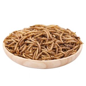 Sino Crown Hot <strong>Sale</strong> High Protein Dry Mealworm Dried Mealworms <strong>for</strong> Export - Product Image 6