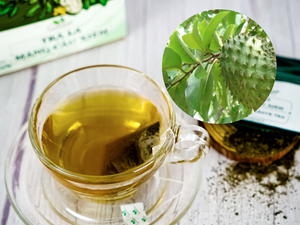 Té Negro Orgánico de Hojas de Guanábana Secas Premium, Sin Azúcar, en Bolsitas, Fabricante Mayorista, Etiqueta Privada OEM - Product Image 1