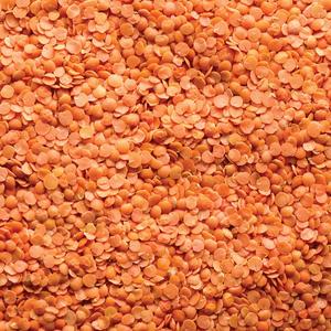 Organic Dried Red Whole Lentils Vacuum Pack 25kg Cheap Price Bulk Wholesale Supply for Food Industry Cooking International - Product Image 6