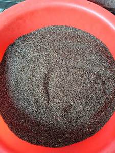 Poivre noir en grains du Vietnam en vrac, épice naturelle séchée, ingrédient pour le broyage en poudre, usine de transformation, fournisseur exportateur / ANNA DO - Product Image 2